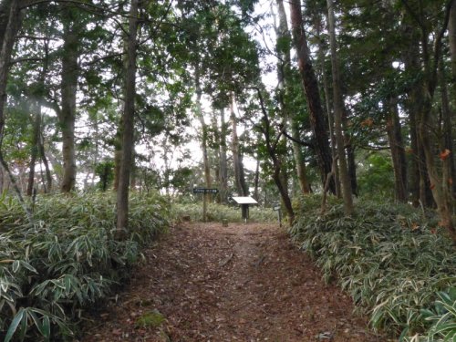 瀬戸岩分岐 